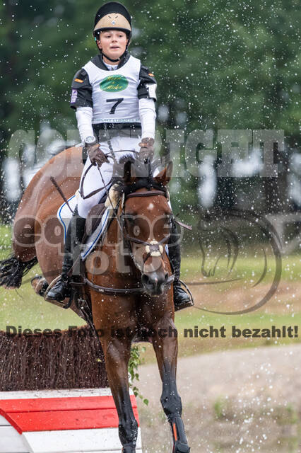 Deutsche Meisterschaft Vielseitigkeit (Luhmühlen)