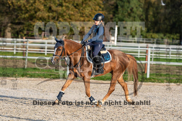 IGV Lehrgang der Sieger der Cups mit Frank Ostholt