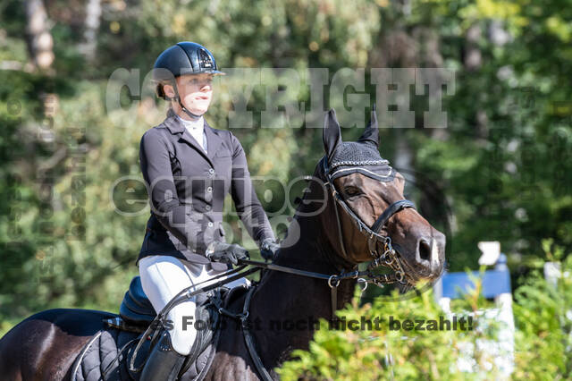 RFV Dinslaken-Hiesfeld (Herbstturnier)