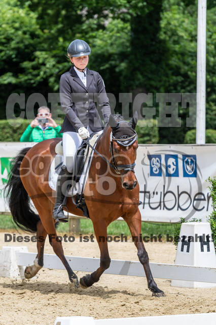 Goldene Schärpe 2021 - Ponys