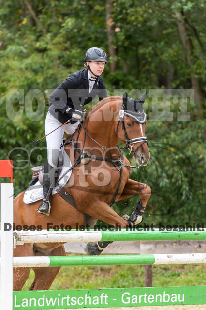 Vielseitigkeit RSV Wesel Obrighoven (26.+27.09.2020)