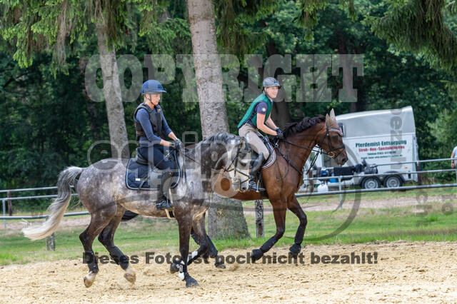 Hunter Geländetraining 10.07.2021 (Sonsbeck)
