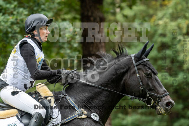 Vielseitigkeit RSV Wesel Obrighoven (26.+27.09.2020)