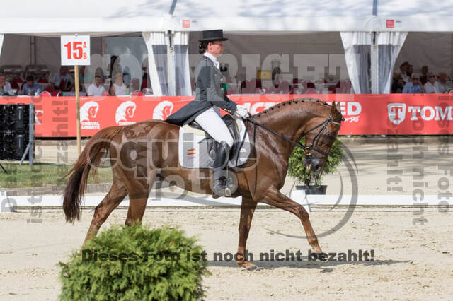 FEI European Championship Eventing 2017