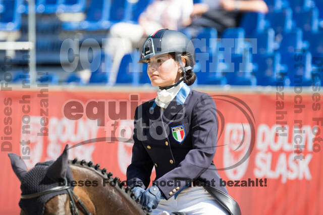 FEI European Championship
