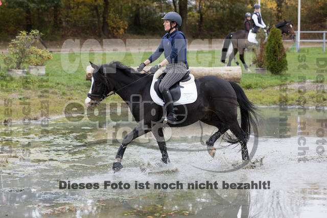 IGV Lehrgang der Sieger der Cups mit Frank Ostholt