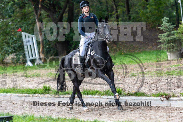 Reiter Schleswig-Holstein