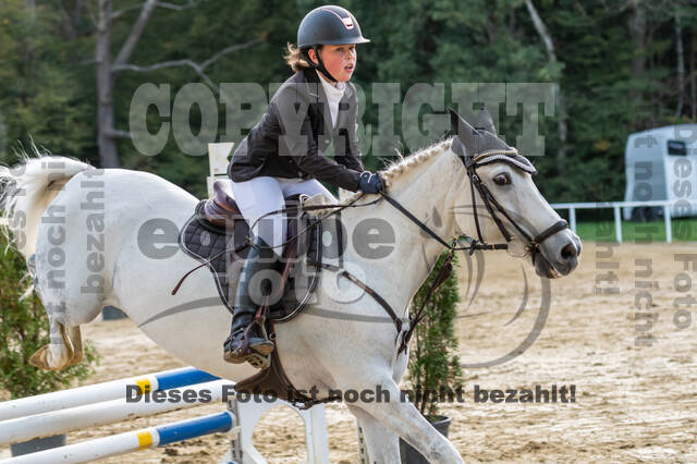 RFV Dinslaken-Hiesfeld (Herbstturnier)