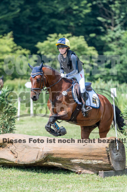 Goldene Schärpe 2021 - Ponys