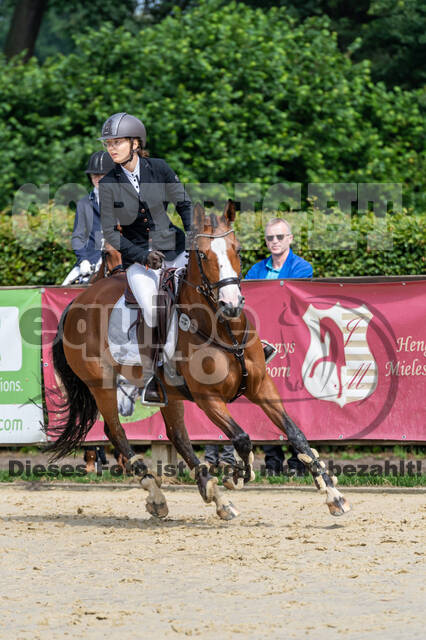 Goldene Schärpe 2021 - Ponys