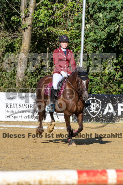 RFV Dinslaken-Hiesfeld (Herbstturnier)