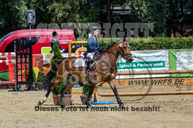 Goldene Schärpe 2021 - Ponys