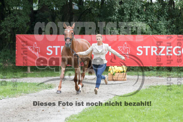 FEI European Championship Eventing 2017