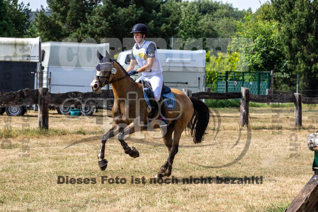 Late-Entry Vielseitigkeit Hamminkeln/Wesel (01.+02.08.2020)