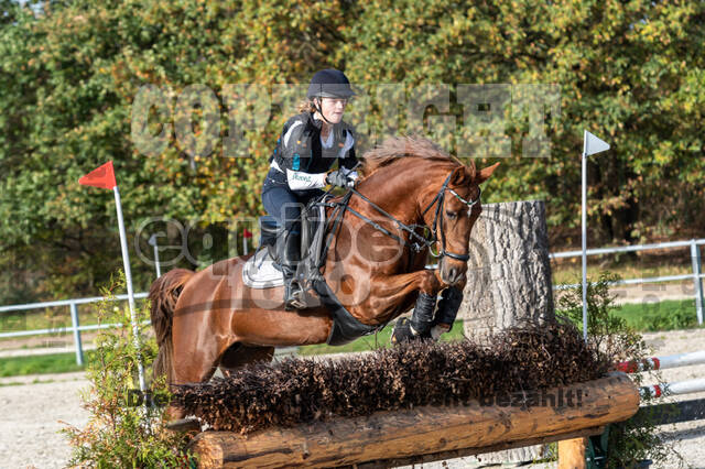 IGV Lehrgang der Sieger der Cups mit Frank Ostholt