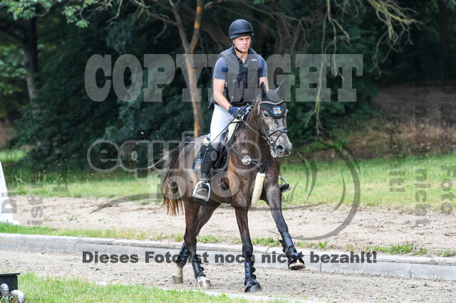 Late-Entry-Vielseitigkeit Langenfeld (11.+13./14.06.2020)