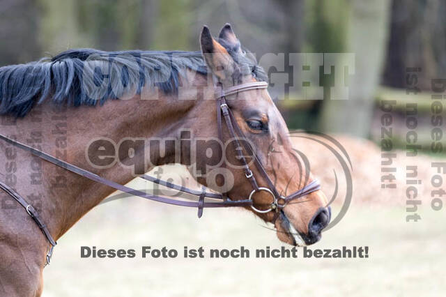 Geländetraining RSV St. Hubertus Wesel Obrighoven