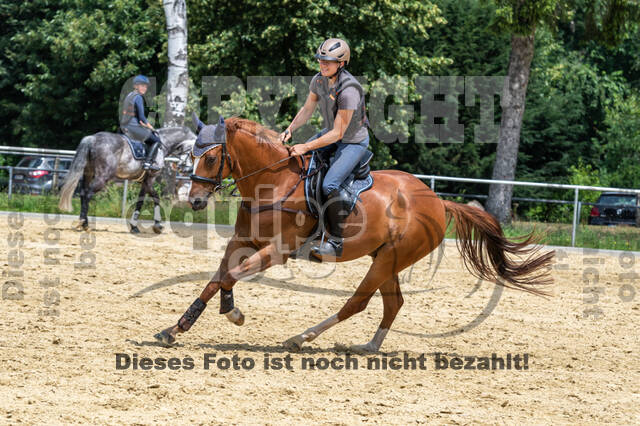 Hunter Geländetraining 10.07.2021 (Sonsbeck)