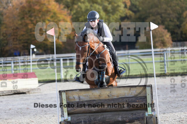IGV Lehrgang der Sieger der Cups mit Frank Ostholt