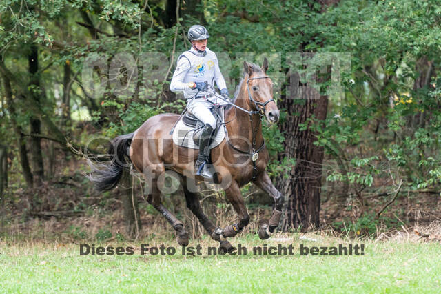 Vielseitigkeit RSV Wesel Obrighoven (26.+27.09.2020)
