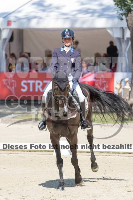 FEI European Championship