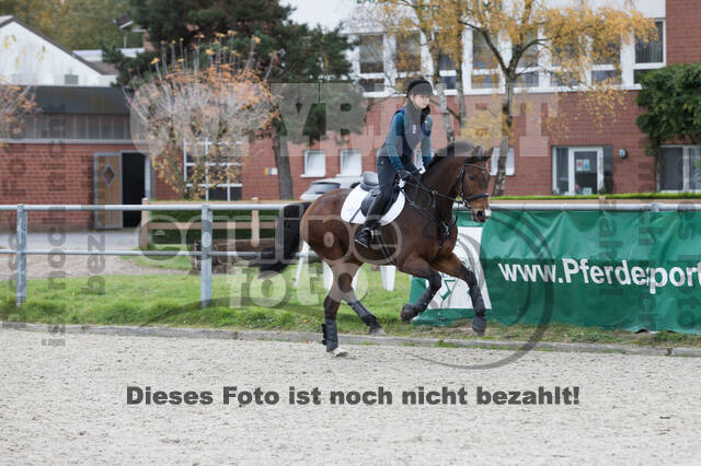 IGV Lehrgang der Sieger der Cups mit Frank Ostholt