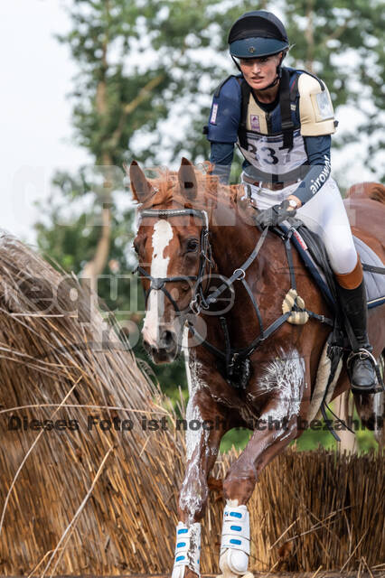 De Peelbergen (August 2020)