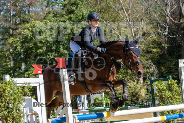 RFV Dinslaken-Hiesfeld (Herbstturnier)