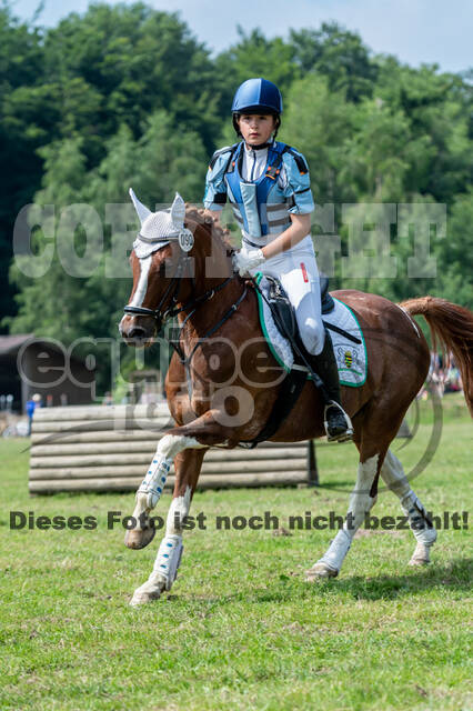 Goldene Schärpe 2021 - Ponys