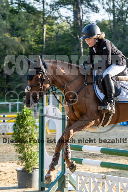 RFV Dinslaken-Hiesfeld (Herbstturnier)