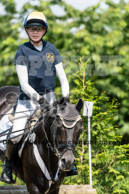 Goldene Schärpe 2021 - Ponys