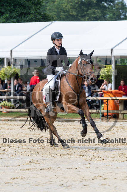 Goldene Schärpe 2021 - Ponys