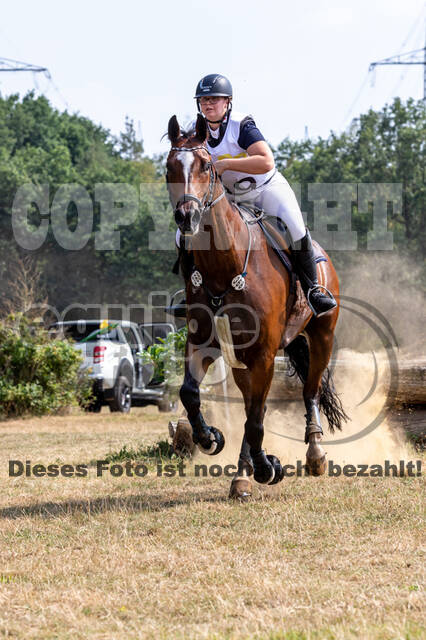 Late-Entry Vielseitigkeit Hamminkeln/Wesel (01.+02.08.2020)
