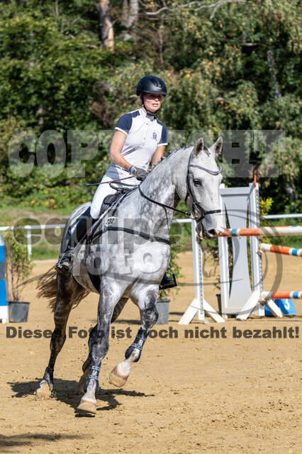 RFV Dinslaken-Hiesfeld (Herbstturnier)