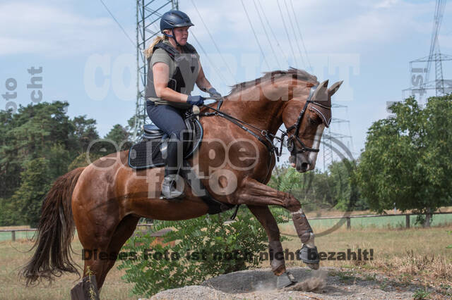 Hunter Geländetraining (16.08.2020)