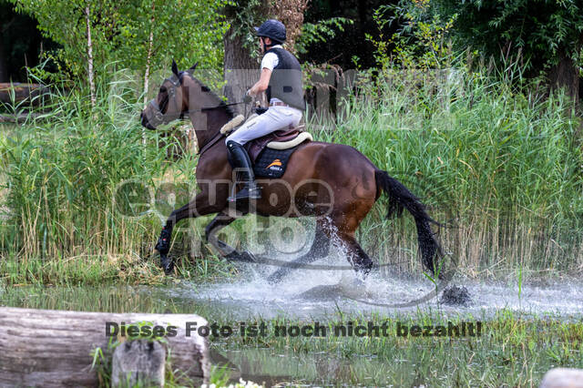 Late-Entry Vielseitigkeit Hamminkeln/Wesel (01.+02.08.2020)