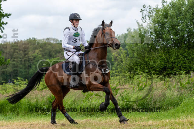 Westerstede Horse Trials 2021