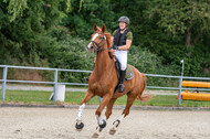 Late-Entry-Vielseitigkeit Langenfeld (11.+13./14.06.2020)