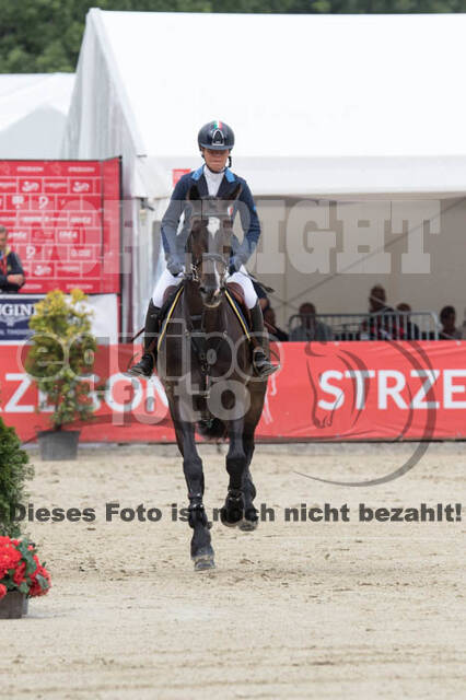 FEI European Championship