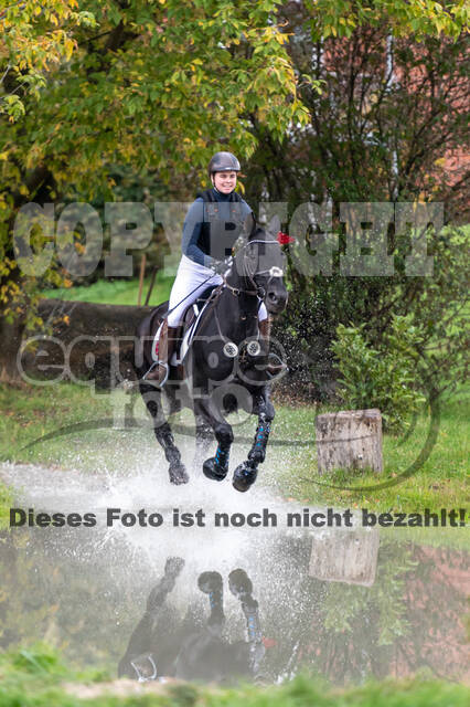 Goldene Schärpe 2020 - Pferde