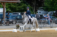 Westerstede Horse Trials 2021