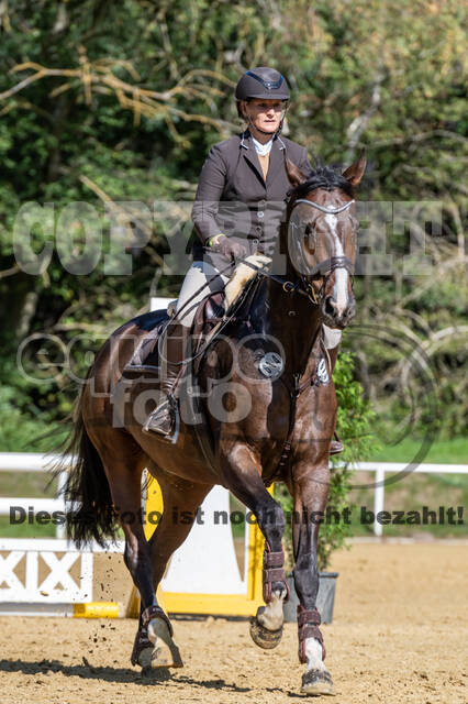 RFV Dinslaken-Hiesfeld (Herbstturnier)