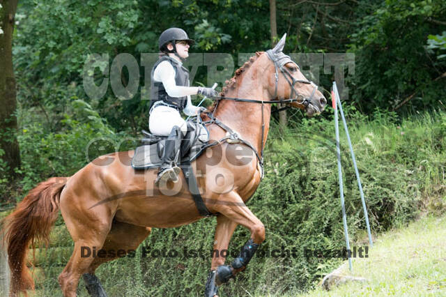 RFV Bad Honnef