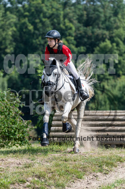 Goldene Schärpe 2021 - Ponys