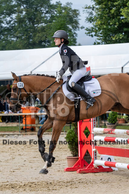 Goldene Schärpe 2021 - Ponys