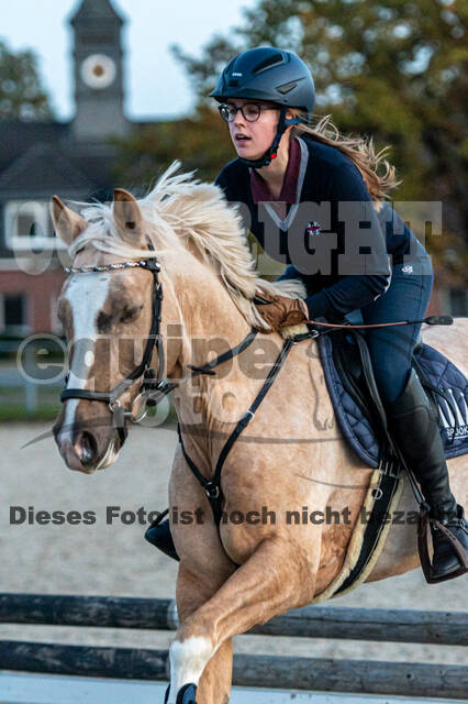 IGV Lehrgang der Sieger der Cups mit Frank Ostholt