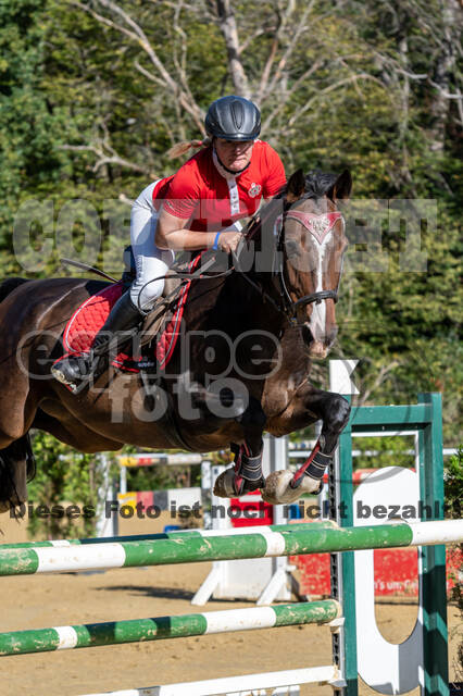 RFV Dinslaken-Hiesfeld (Herbstturnier)