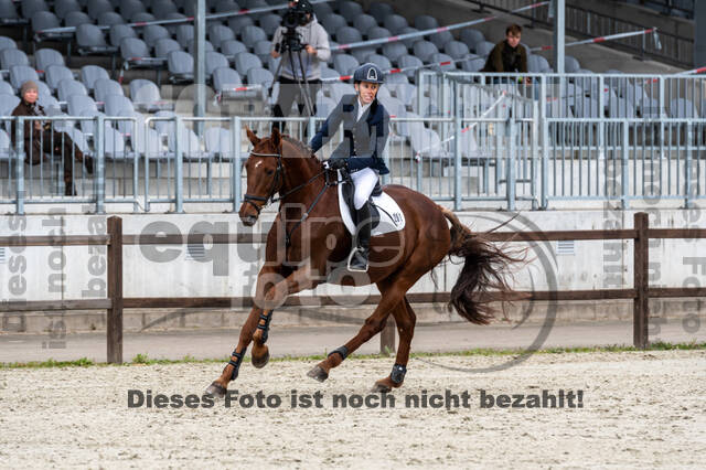 Deutsche Meisterschaft Vielseitigkeit (Luhmühlen)