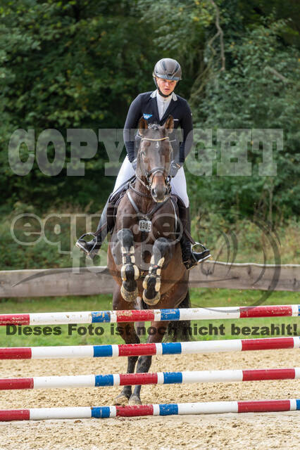 Vielseitigkeit RSV Wesel Obrighoven (26.+27.09.2020)