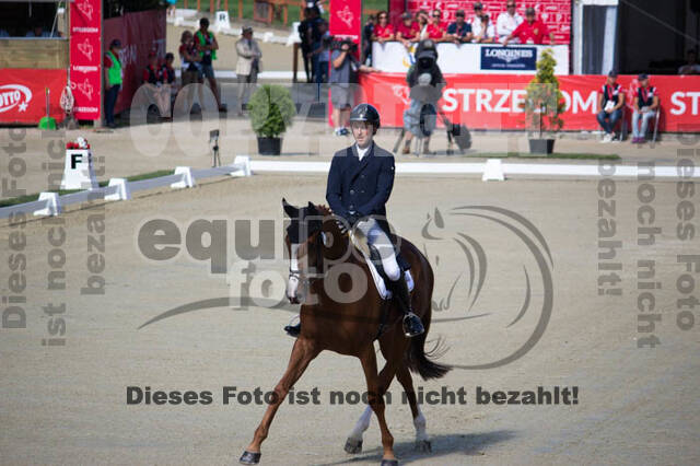 FEI European Championship Eventing 2017